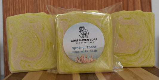 *NEW*  Spring Toast